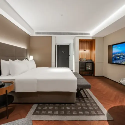 Intercity Executive Queen Room